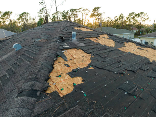 Best Roof Insulation Installation  in Manchester, OH